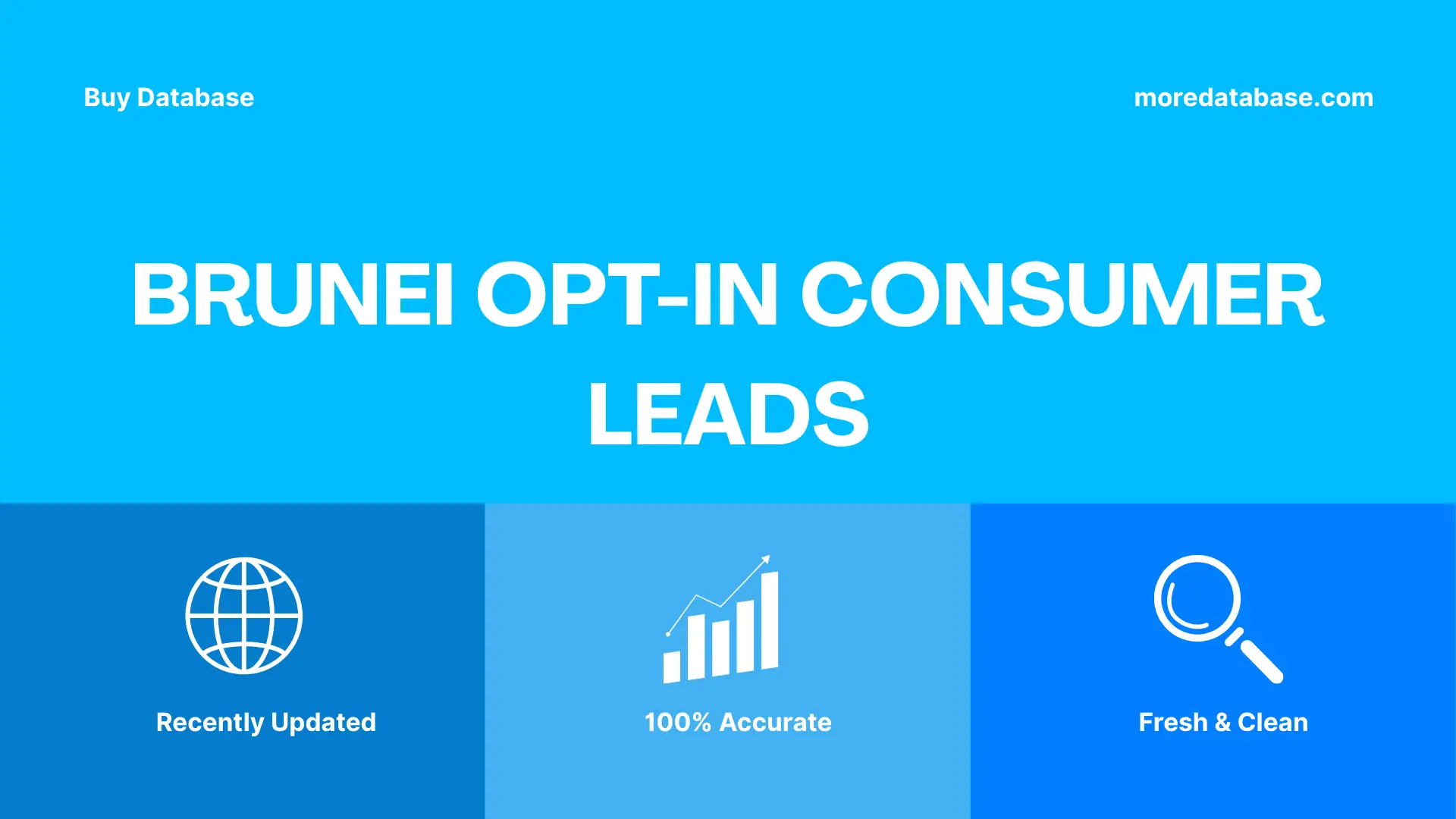 Brunei Opt-In Consumer Leads